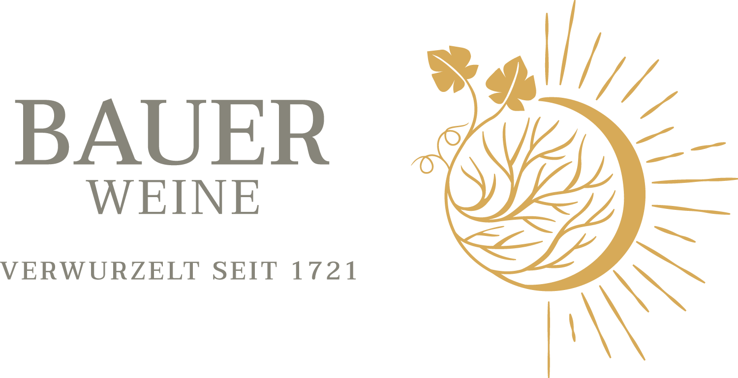 Weingut Bauer