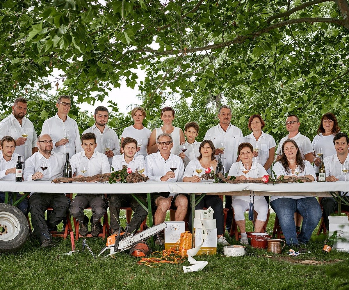 Weinverkostung im Weingut