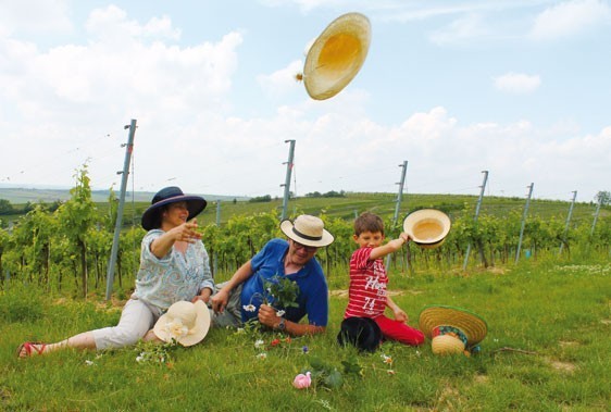 Picknick in den Weinbergen